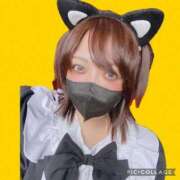 ヒメ日記 2025/11/02 14:29 投稿 たまき ぽっちゃりデリヘル倶楽部