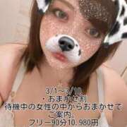 ヒメ日記 2026/03/09 10:19 投稿 たまき ぽっちゃりデリヘル倶楽部