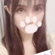 ヒメ日記 2024/12/12 22:35 投稿 しずく One More奥様　横浜関内店