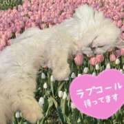 ヒメ日記 2025/06/04 19:05 投稿 しずく One More奥様　横浜関内店