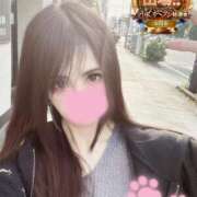 ヒメ日記 2025/11/12 16:01 投稿 しずく One More奥様　横浜関内店