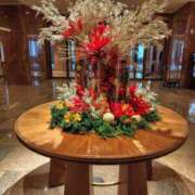 ヒメ日記 2024/12/10 20:40 投稿 まり 人妻小旅行