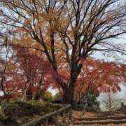 ヒメ日記 2024/12/14 08:40 投稿 まり 人妻小旅行