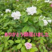 ヒメ日記 2025/09/19 08:37 投稿 まり 人妻小旅行