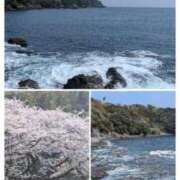 ヒメ日記 2026/03/29 08:25 投稿 まり 人妻小旅行