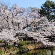 ヒメ日記 2026/03/29 15:15 投稿 まり 人妻小旅行