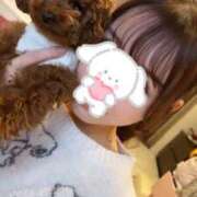 谷 麻里子 わんちゃんが好きなお兄様🥺 青山ヴェルグ