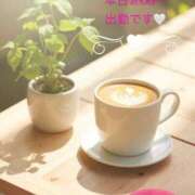 ヒメ日記 2025/05/01 10:01 投稿 雨宮なるみ ABC 岩手ソープ