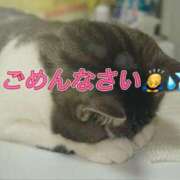 ヒメ日記 2025/05/06 16:31 投稿 雨宮なるみ ABC 岩手ソープ