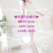 ヒメ日記 2026/04/05 10:31 投稿 雨宮なるみ ABC 岩手ソープ