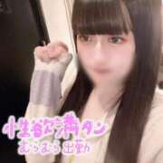 ヒメ日記 2026/02/05 19:48 投稿 いおり【MTX】 ソープランド AQUA（アクア）