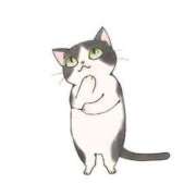 ヒメ日記 2025/06/24 22:05 投稿 まお★S級！爆乳G乳現役JD★ S級素人清楚系デリヘル chloe