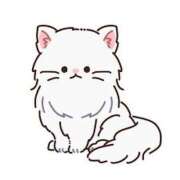 ヒメ日記 2025/04/19 18:08 投稿 まお★S級！爆乳G乳現役JD★ 渋谷S級素人清楚系デリヘル chloe