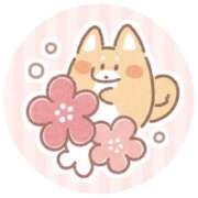 ヒメ日記 2026/03/18 16:04 投稿 まお★S級！爆乳G乳現役JD★ Chloe五反田本店　S級素人清楚系デリヘル