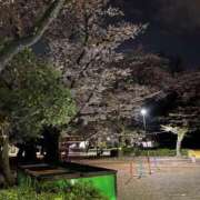 ヒメ日記 2025/04/09 01:09 投稿 ふゆ 西船巨乳ぽっちゃり　乳神さま