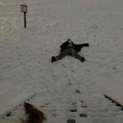 ヒメ日記 2025/04/09 22:19 投稿 ふゆ 西船巨乳ぽっちゃり　乳神さま