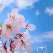 ヒメ日記 2025/04/04 10:21 投稿 ひな 完熟ばなな 立川