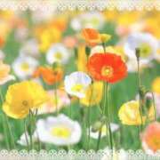 ヒメ日記 2025/06/03 11:07 投稿 ひな 完熟ばなな 立川