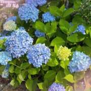 ヒメ日記 2025/06/16 10:17 投稿 ひな 完熟ばなな 立川