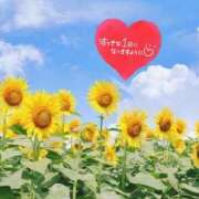 ヒメ日記 2025/07/29 10:27 投稿 ひな 完熟ばなな 立川