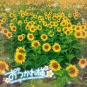 ヒメ日記 2025/08/12 21:17 投稿 ひな 完熟ばなな 立川