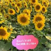 ヒメ日記 2025/08/25 10:27 投稿 ひな 完熟ばなな 立川