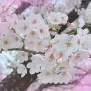 ヒメ日記 2026/03/30 10:47 投稿 ひな 完熟ばなな 立川