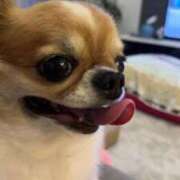 ヒメ日記 2025/09/20 11:26 投稿 のの 太田人妻城