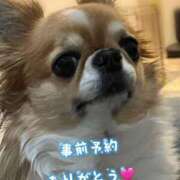 ヒメ日記 2025/11/27 18:36 投稿 のの 太田人妻城