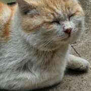 ヒメ日記 2025/05/15 13:26 投稿 桂木みずな 大人のエッチなエステ