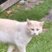 ヒメ日記 2025/11/25 14:46 投稿 桂木みずな 大人のエッチなエステ