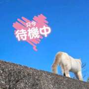 桂木みずな にゃんこのお尻🐱 大人のエッチなエステ