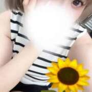 ヒメ日記 2025/06/20 14:35 投稿 ゆりの バニラシュガー古河店