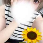 ヒメ日記 2025/07/12 14:15 投稿 ゆりの バニラシュガー古河店