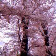 ヒメ日記 2025/03/25 01:25 投稿 もえの 所沢東村山ちゃんこ