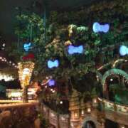 ヒメ日記 2025/03/25 14:10 投稿 もえの 所沢東村山ちゃんこ