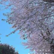 ヒメ日記 2025/04/09 18:36 投稿 もえの 所沢東村山ちゃんこ