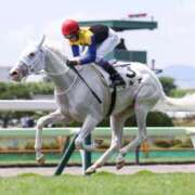 ヒメ日記 2025/07/13 05:10 投稿 もえの 所沢東村山ちゃんこ