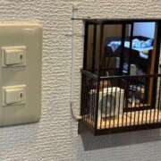 もえの しゅっきん🚗³₃ 所沢東村山ちゃんこ