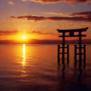 黒木 あけましておめでとうございます♪ ミセスの手ほどき