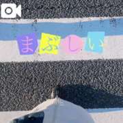 ヒメ日記 2024/12/09 07:52 投稿 なお 白いぽっちゃりさん