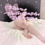 ヒメ日記 2024/12/09 12:05 投稿 なお 白いぽっちゃりさん