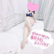 ヒメ日記 2024/12/24 13:33 投稿 なお 白いぽっちゃりさん