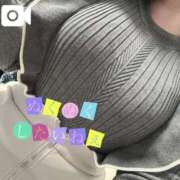 ヒメ日記 2024/12/25 12:23 投稿 なお 白いぽっちゃりさん