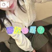 ヒメ日記 2024/12/28 17:10 投稿 なお 白いぽっちゃりさん