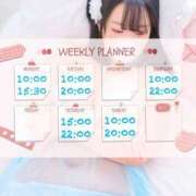 ヒメ日記 2024/12/29 18:05 投稿 なお 白いぽっちゃりさん