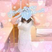 ヒメ日記 2025/01/07 12:10 投稿 なお 白いぽっちゃりさん