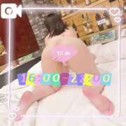 ヒメ日記 2025/01/12 13:52 投稿 なお 白いぽっちゃりさん