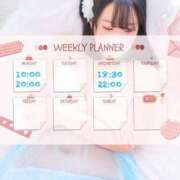 ヒメ日記 2025/01/12 18:02 投稿 なお 白いぽっちゃりさん