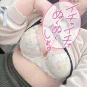 ヒメ日記 2025/01/13 10:46 投稿 なお 白いぽっちゃりさん